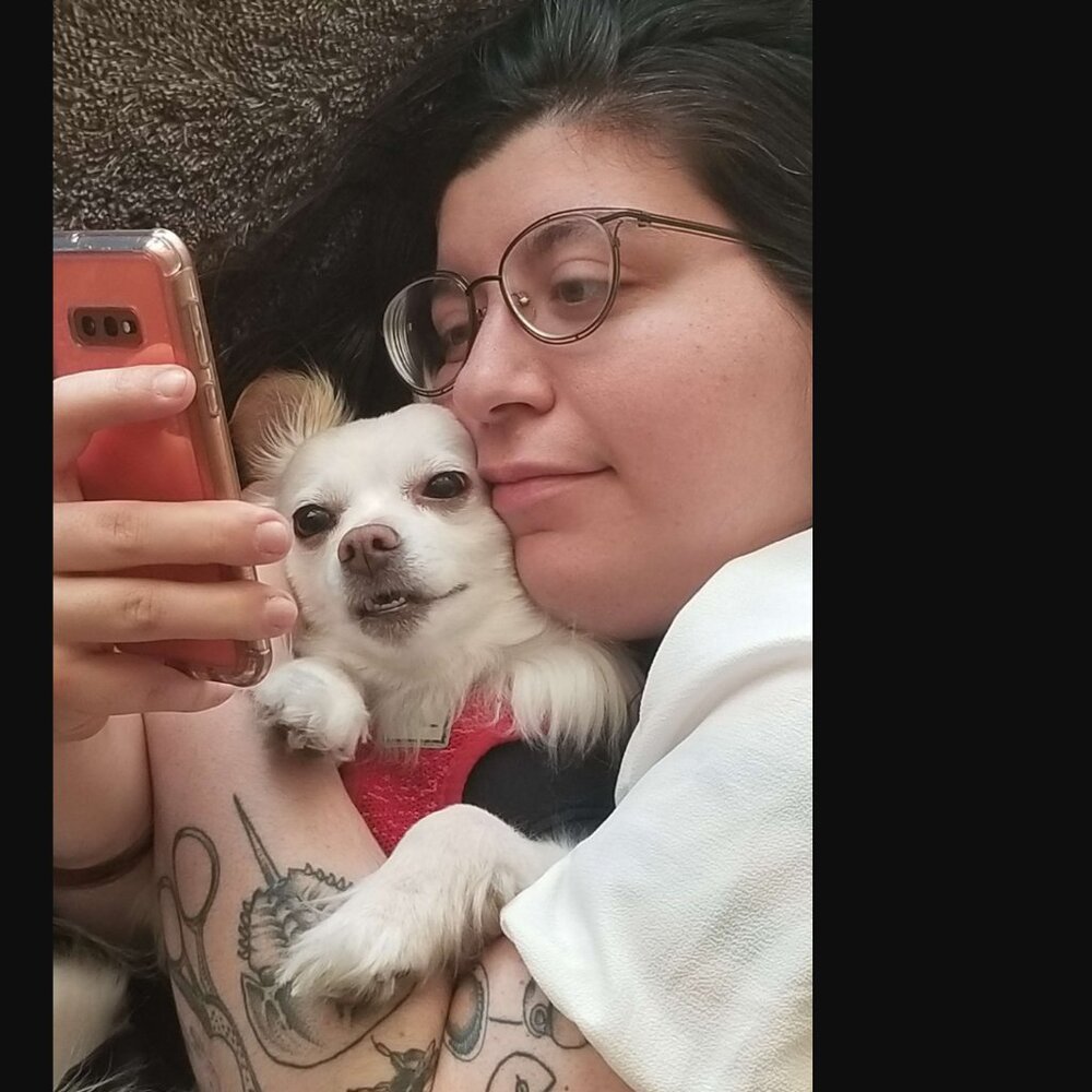 Meet your Posher, Julia